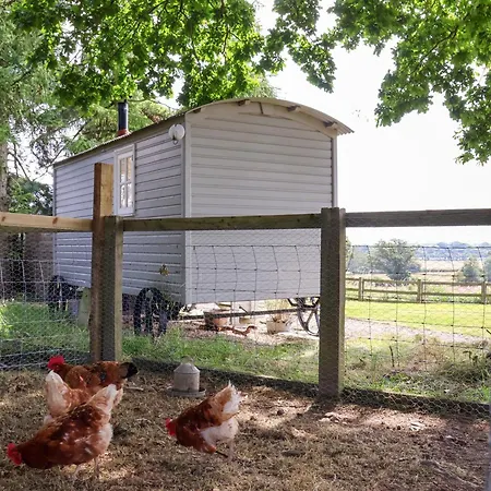 Bellwether * يورك