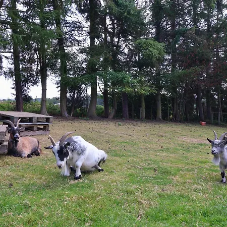 Semesterbostad Bellwether