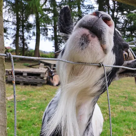 Bellwether 度假居 *