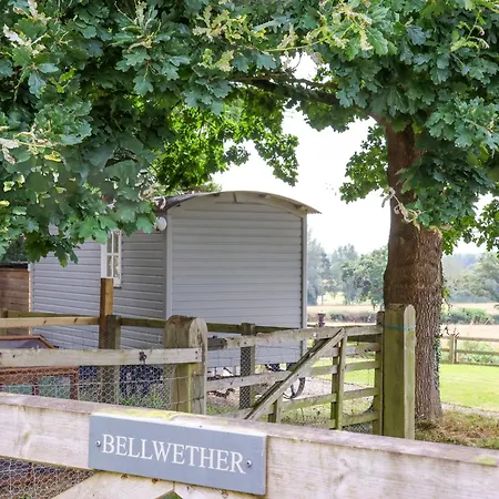 度假居 Bellwether *