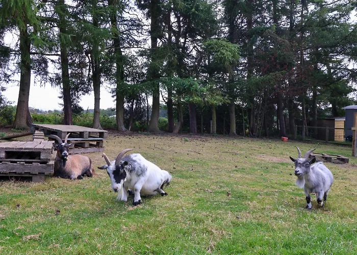 בית נופש Bellwether