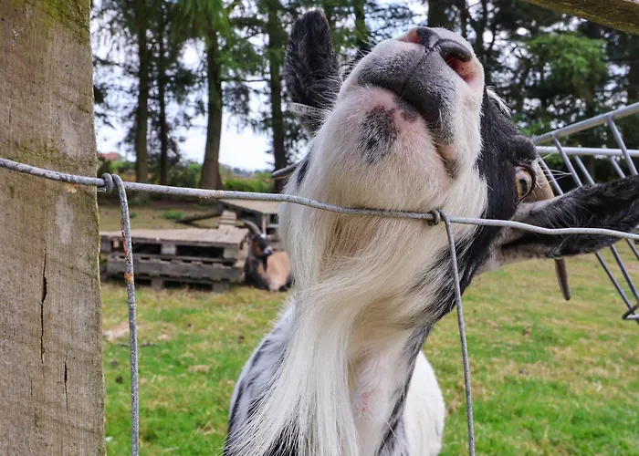 Bellwether 度假居 *